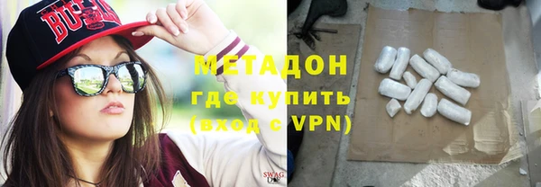прущие грибы Новодвинск