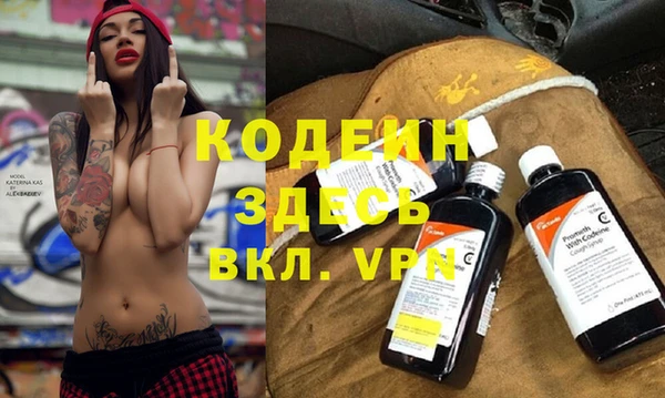прущие грибы Новодвинск