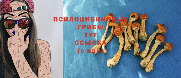 марки nbome Нязепетровск