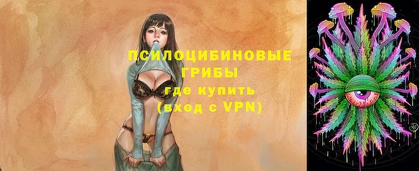 ГАЛЛЮЦИНОГЕННЫЕ ГРИБЫ Няндома