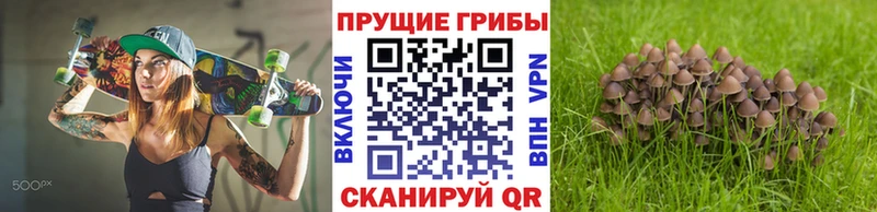 Псилоцибиновые грибы Psilocybe  блэк спрут онион  Лабинск 