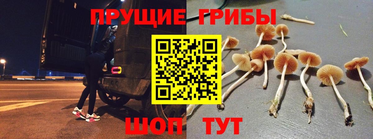 Галлюциногенные грибы Cubensis  Галлюциногенные грибы MAGIC MUSHROOMS  Лабинск  Вход с VPN 